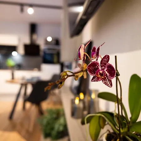 Place2be - With Infinity Pool Lejlighed