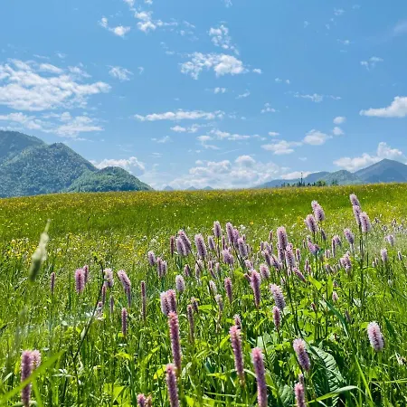 Place2be - With Infinity Pool Lejlighed *