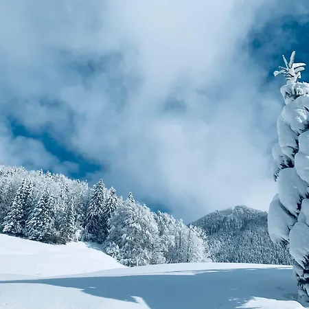 Place2be - With Infinity Pool * Faistenau