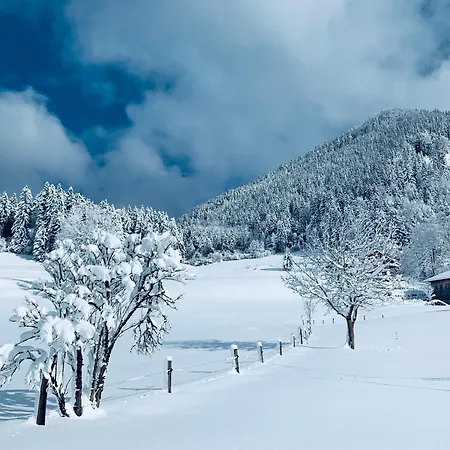 Lejlighed Place2be - With Infinity Pool Faistenau