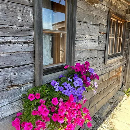 Lejlighed Place2be - With Infinity Pool Faistenau